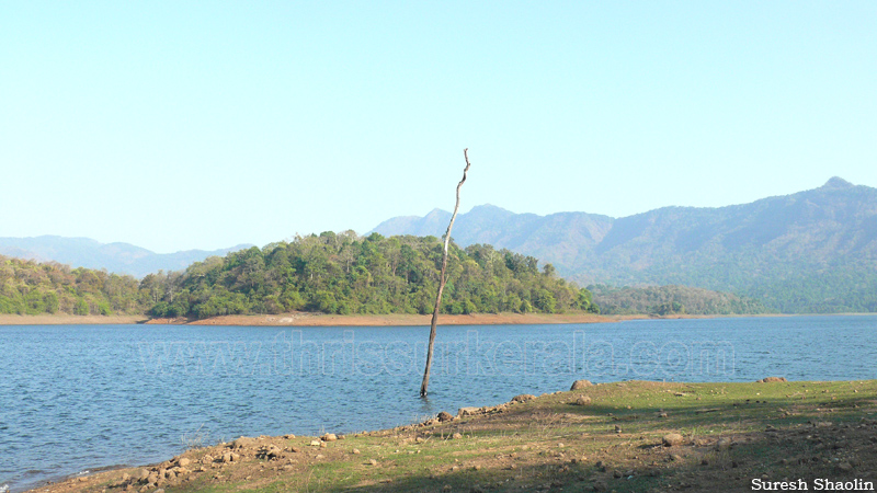 chimmini-dam-thrissur (11)